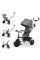 Трехколесный велосипед Kinderkraft Aston 2 Plus Grey (KRASTO02GRYPL00)