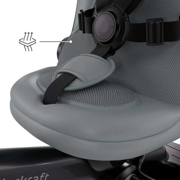 Трехколесный велосипед Kinderkraft Aveo 2 Plus Grey (KRAVEO02GRY0000)